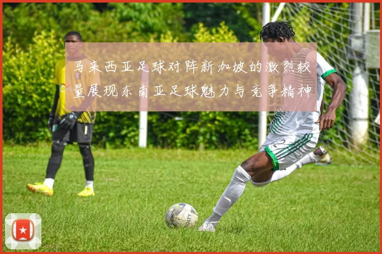 马来西亚足球对阵新加坡的激烈较量展现东南亚足球魅力与竞争精神