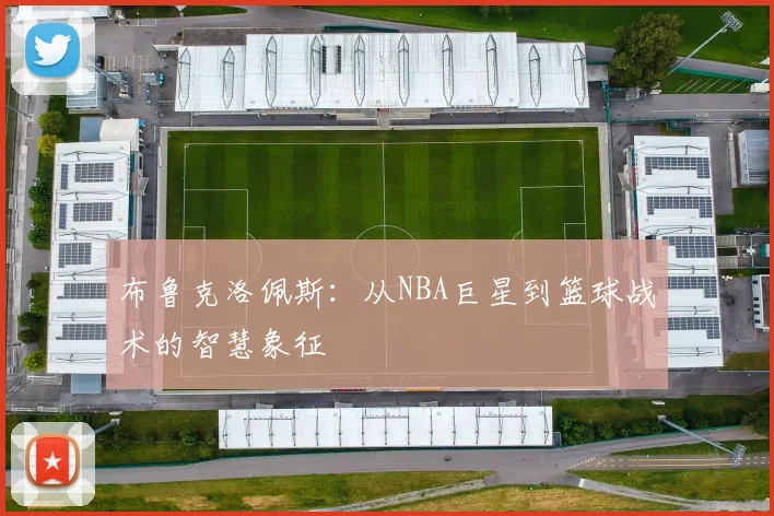 布鲁克洛佩斯：从NBA巨星到篮球战术的智慧象征