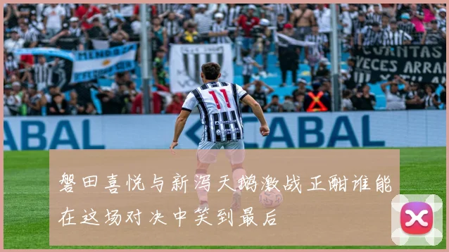 磐田喜悦与新泻天鹅激战正酣谁能在这场对决中笑到最后
