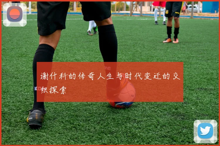谢什科的传奇人生与时代变迁的交织探索